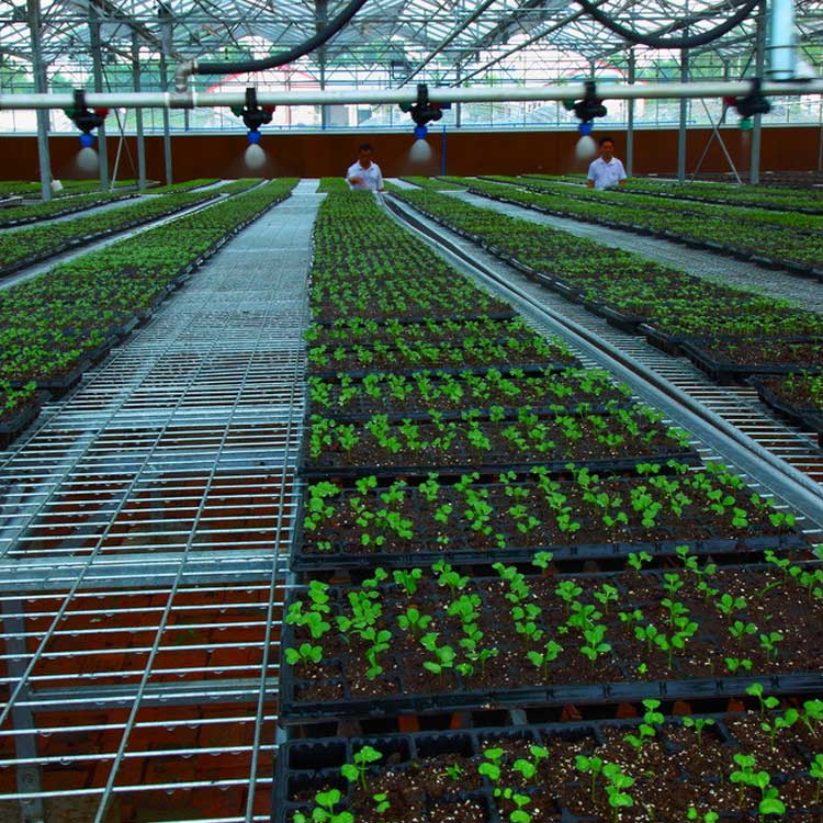 FM-SKY節水灌溉自動控制系統